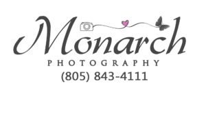 Monarch Photography